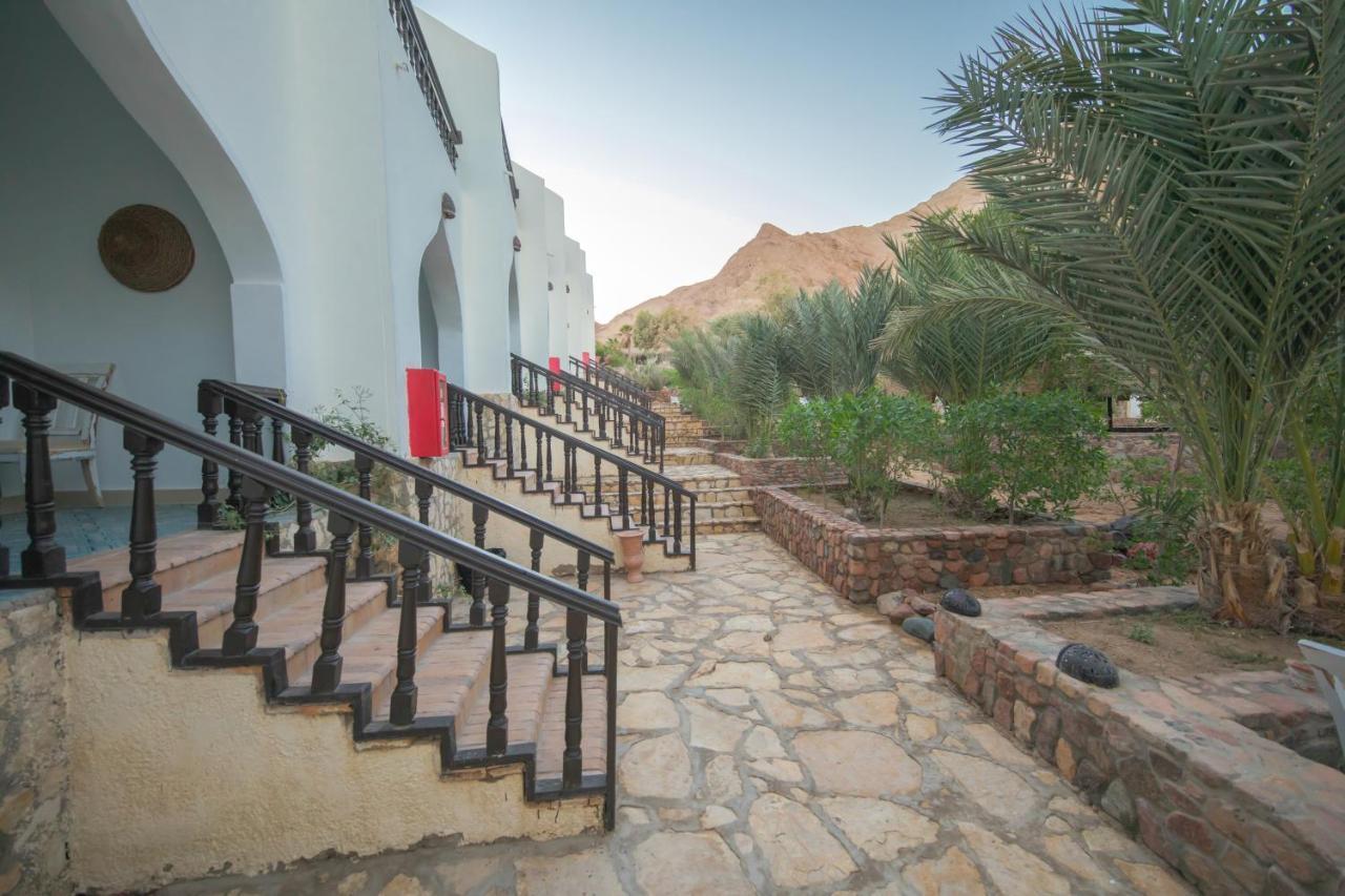 The Bedouin Moon Dahab Exterior foto