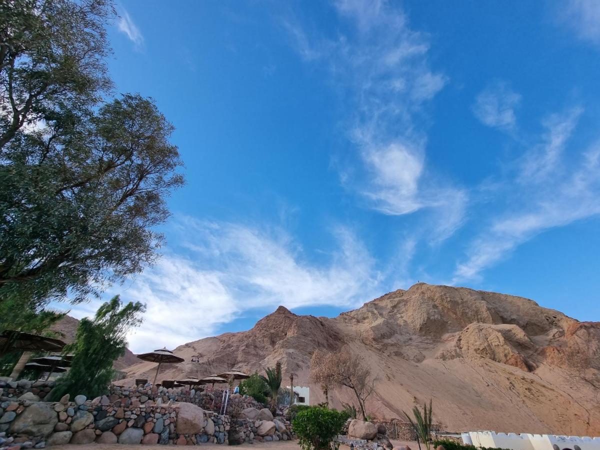 The Bedouin Moon Dahab Exterior foto